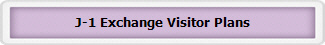 J-1 Exchange Visitor Plans